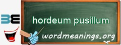 WordMeaning blackboard for hordeum pusillum
